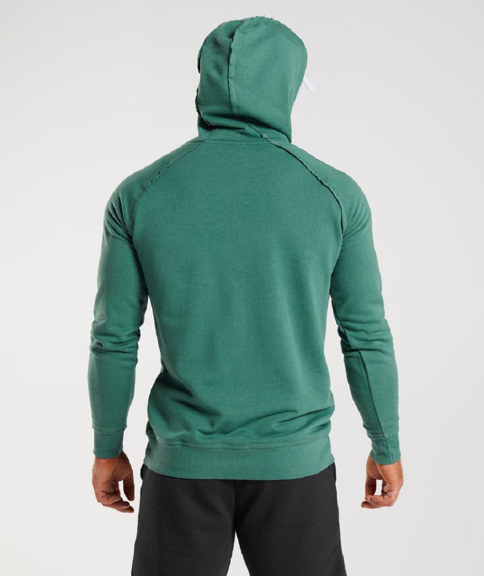 Sudadera Con Capucha Gymshark Legacy Hombre Verde | CO 3615FDN